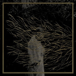Forest Swords - Engravings (2x12", Album)