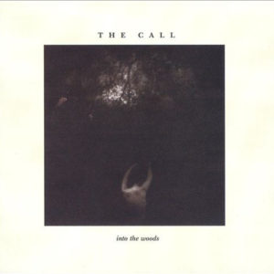 The Call - Into The Woods (LP, Album)