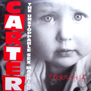 Carter The Unstoppable Sex Machine - A Sheltered Life (12", Single)