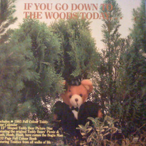 Henry Hall & His Orchestra - If You Go Down To The Woods Today... (12", Shape, Pic)