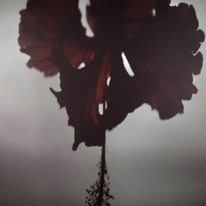 DK7 - Disarmed (2xLP)