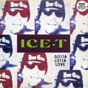 Ice-T - Gotta Lotta Love (12", Single, Pos)
