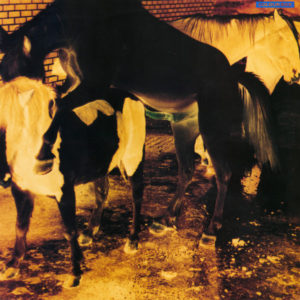 Colour Box* - Colour Box (12", MiniAlbum)