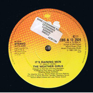 The Weather Girls - It's Raining Men (12")
