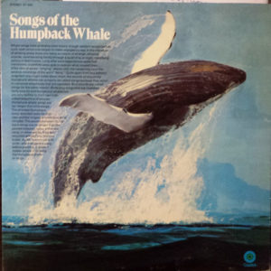 Humpback Whale - Songs Of The Humpback Whale (LP, Album, Gre)