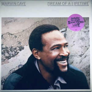 Marvin Gaye - Dream Of A Lifetime (LP, Album)