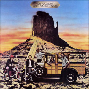 The Surfaris - Gone With The Wave (LP, Comp)