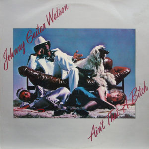 Johnny Guitar Watson - Ain't That A Bitch (LP, Album)