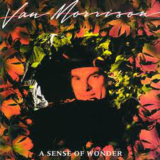 Van Morrison - A Sense Of Wonder (LP, Album)