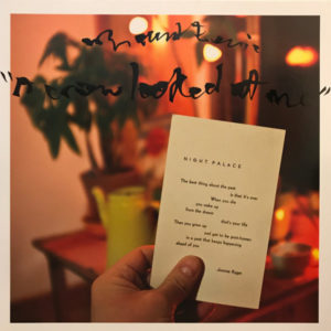 Mount Eerie - A Crow Looked At Me (LP, Album)