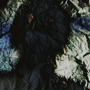 Jonathan Meades - Pedigree Mongrel (LP, Album, Ltd)