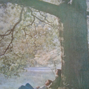 John Lennon / Plastic Ono Band* - John Lennon / Plastic Ono Band (LP, Album)