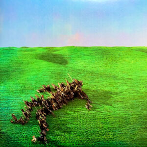 Squid (29) - Bright Green Field (2xLP, Album, Ltd, Gre)